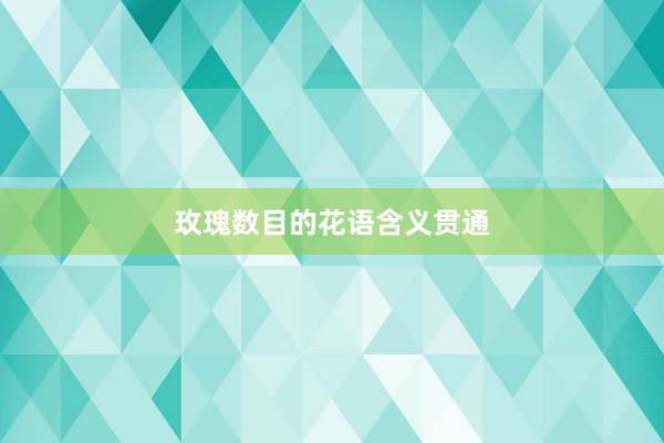 玫瑰数目的花语含义贯通