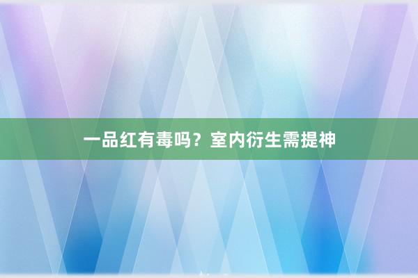 一品红有毒吗？室内衍生需提神
