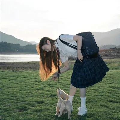 观鸟者指导大全